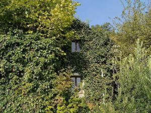 Das Zwergenhaus in Istrien Ferienhaeuschen 